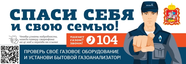 Image title